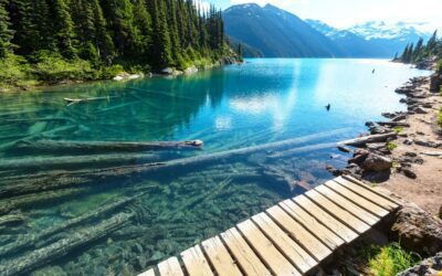 Our Health and the Health of the Environment are Inseparable